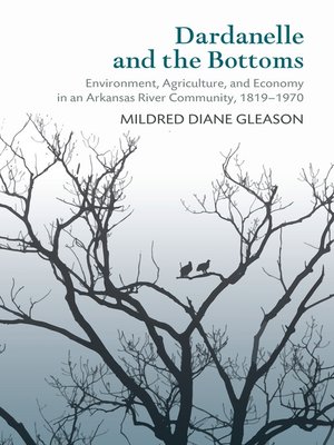 cover image of Dardanelle and the Bottoms